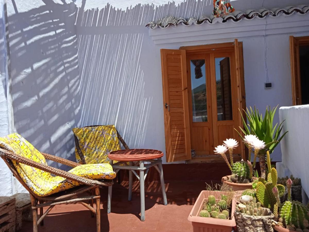 Vallparadis Pension Familiar" Firdaus" Chefchaouen Eksteriør billede